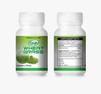 https://cdn.sybazzar.com/public/200-200/files/28A5BC07C2F17BB-Wheat Grass.jpg